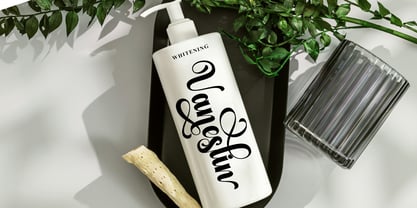 Qertalisa Font Poster 8