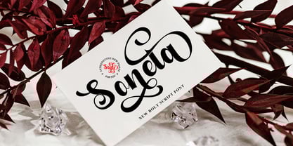 Qertalisa Font Poster 2