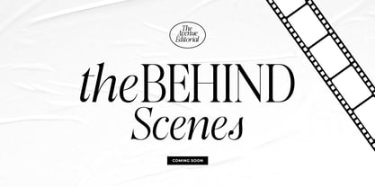 The Avenue Editorial Font Poster 14