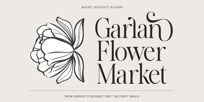 The Avenue Editorial Font Poster 2