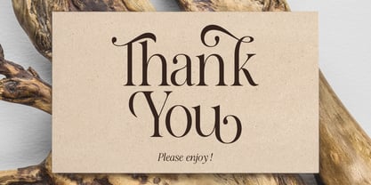 The Avenue Editorial Font Poster 15