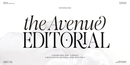 The Avenue Editorial Font Poster 1