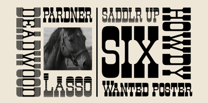 Earnestly Font Poster 6