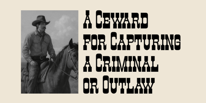 Earnestly Font Poster 2