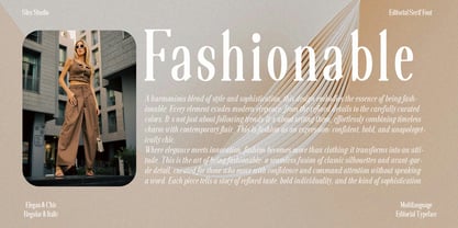 The Velmira Serif Simple Font Poster 15