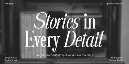 The Velmira Serif Simple Font Poster 2