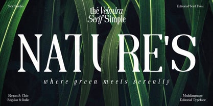 The Velmira Serif Simple Font Poster 14