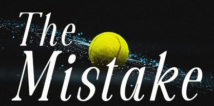 The Velmira Serif Simple Font Poster 9