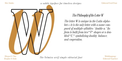 The Velmira Serif Simple Font Poster 6