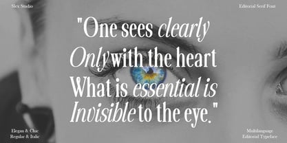 The Velmira Serif Simple Font Poster 8