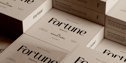 Wendia Font Poster 4