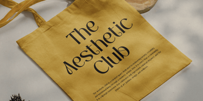 Wendia Font Poster 13