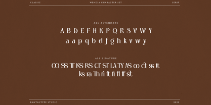 Wendia Font Poster 15