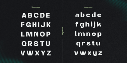 Modern Rifgo Font Poster 3