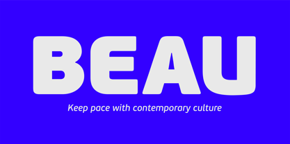 PF Beau Sans Pro Font Poster 1