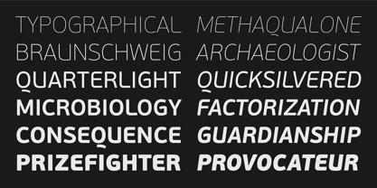 PF Beau Sans Pro Font Poster 9