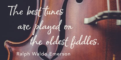 Empathy Script Font Poster 8