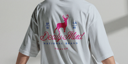 Costaria Script Font Poster 3