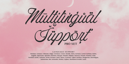 Costaria Script Font Poster 10