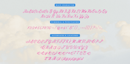 Costaria Script Font Poster 11