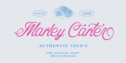 Costaria Script Font Poster 9