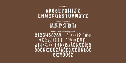 MC Plokasid Font Poster 7