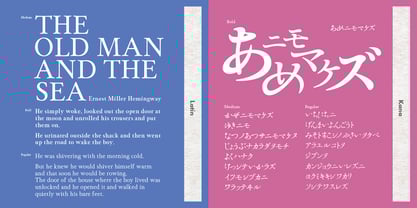 Seimei Kana Font Poster 4