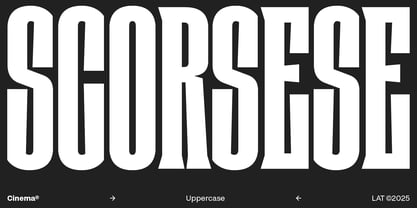 Cinema Font Poster 2