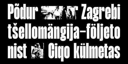 FBS Maglion Font Poster 8