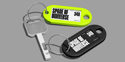 FBS Maglion Font Poster 12