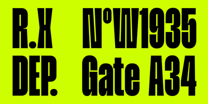 FBS Maglion Font Poster 13