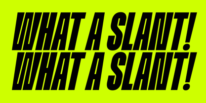 FBS Maglion Font Poster 10