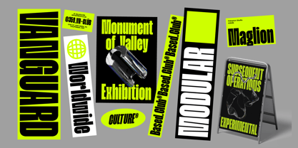 FBS Maglion Font Poster 9