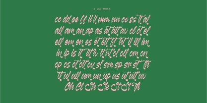 Kabetha Shelyne Font Poster 11