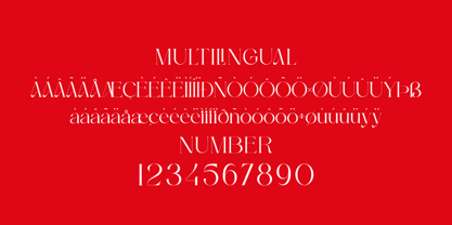 Gralice Roman Font Poster 14