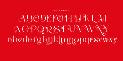 Gralice Roman Font Poster 13