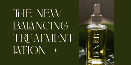 Gralice Roman Font Poster 9