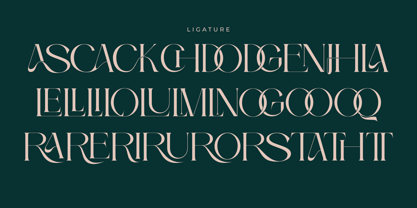 Gralice Roman Font Poster 11