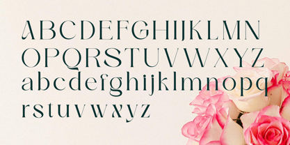 Gralice Roman Font Poster 12