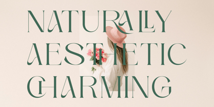 Gralice Roman Font Poster 2