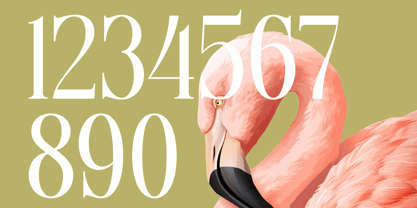 Tigerlife Sparkle Font Poster 12