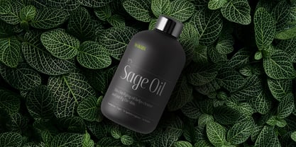 Spritely Font Poster 4