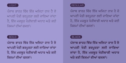Shree Punjabi 0951 Font Poster 3