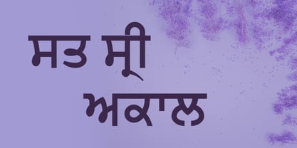 Shree Punjabi 0951 Font Poster 5