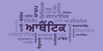 Shree Punjabi 0951 Font Poster 4