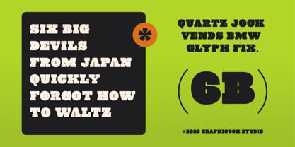 Cook Bloxerif Font Poster 6