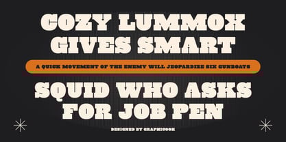 Cook Bloxerif Font Poster 9