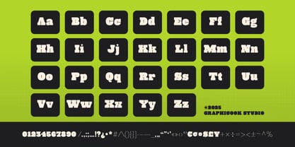 Cook Bloxerif Font Poster 3