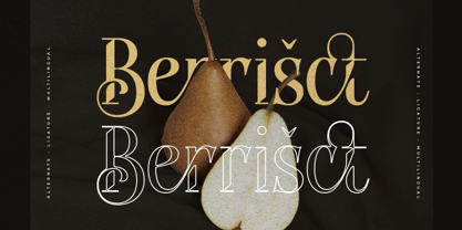 Sabiant Font Poster 5