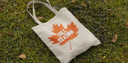 Slowmo Season Font Poster 8